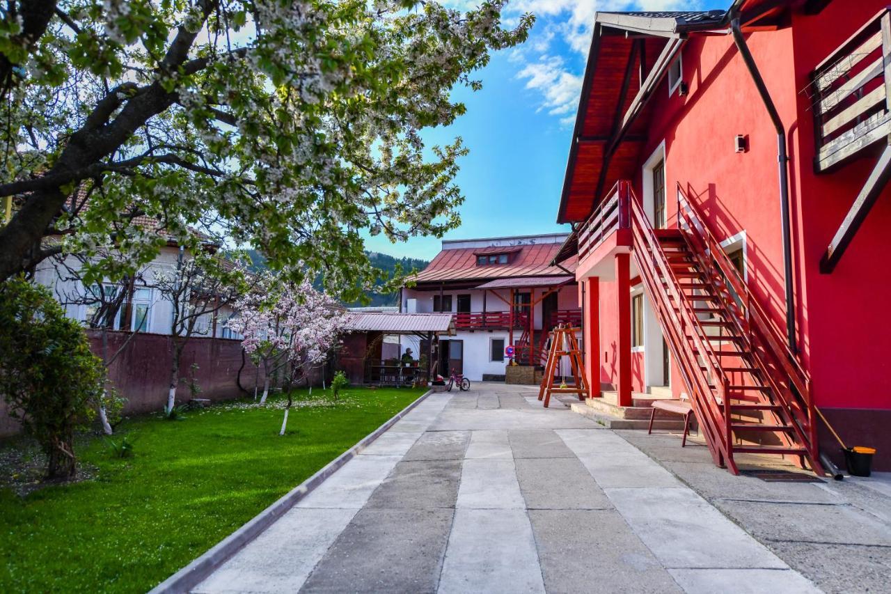 Villa Castellino Tîrgu Ocna 外观 照片